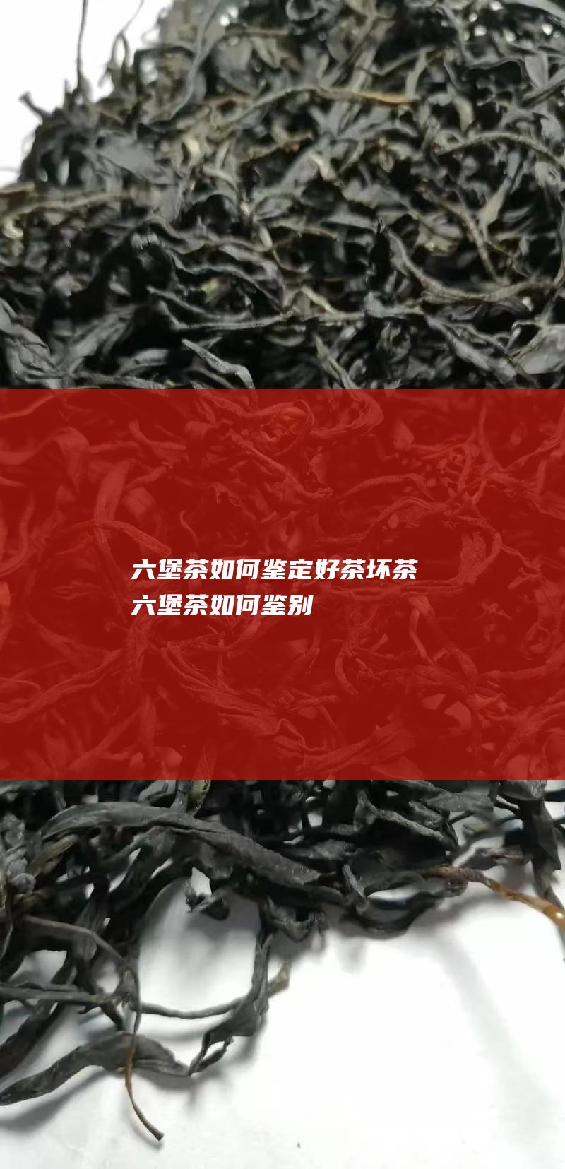 六堡茶如何鉴定好茶坏茶 (六堡茶如何鉴别)