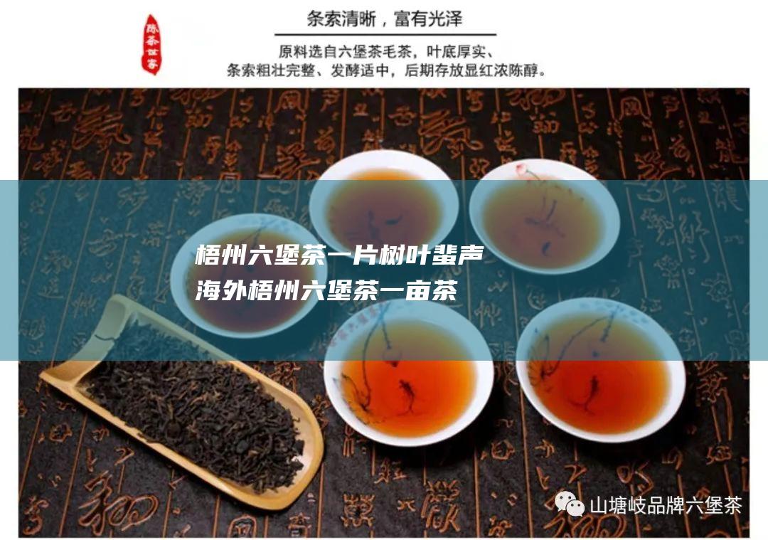 梧州六堡茶 一片树叶蜚声海外 (梧州六堡茶一亩茶园能产多少斤茶叶)