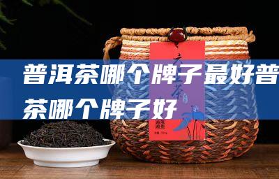 普洱茶哪个牌子最好 (普洱茶哪个牌子好)