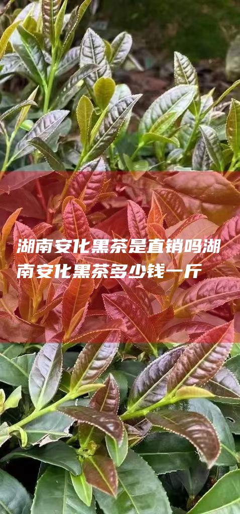 湖南安化黑茶是直销吗湖南安化黑茶多少钱一斤