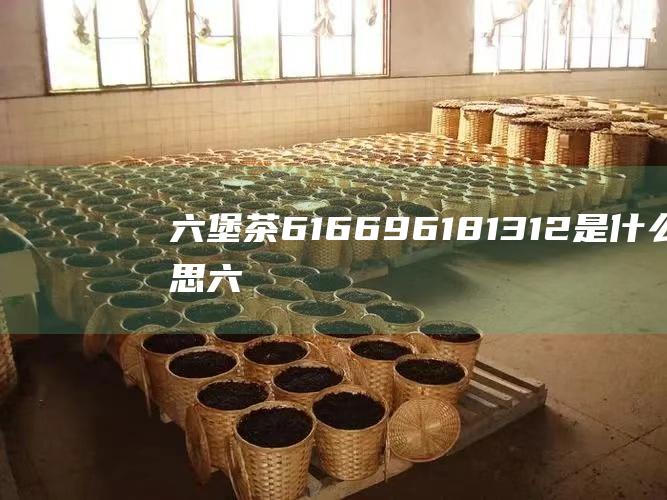 六堡茶 6166 9618 1312是什么意思 (六堡茶6166什么意思)