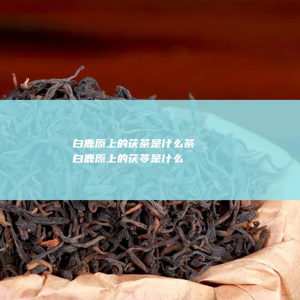 白鹿原上的茯茶是什么茶 (白鹿原上的茯苓是什么)