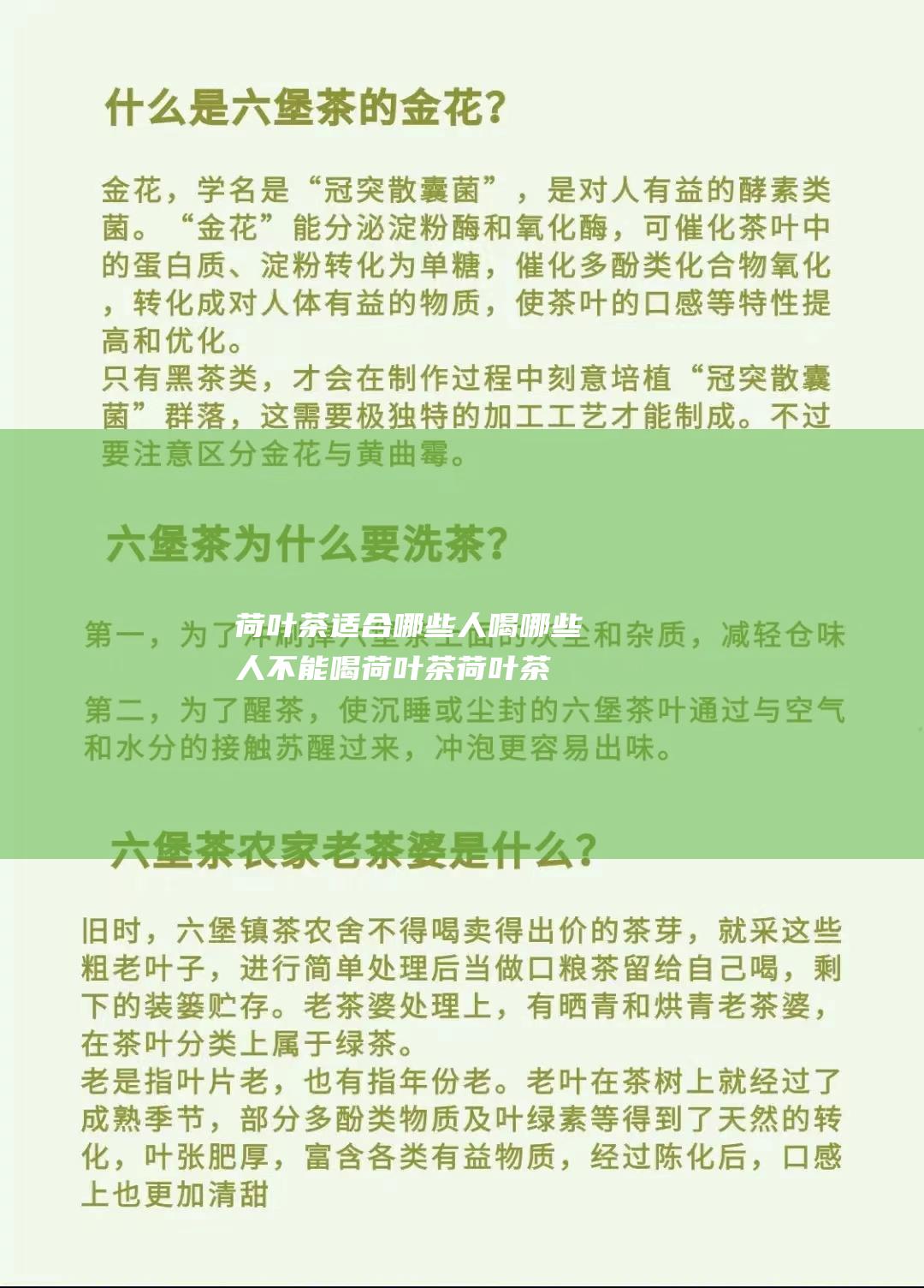 荷叶茶适合哪些人喝 哪些人不能喝荷叶茶 (荷叶茶适合哪个季节喝)