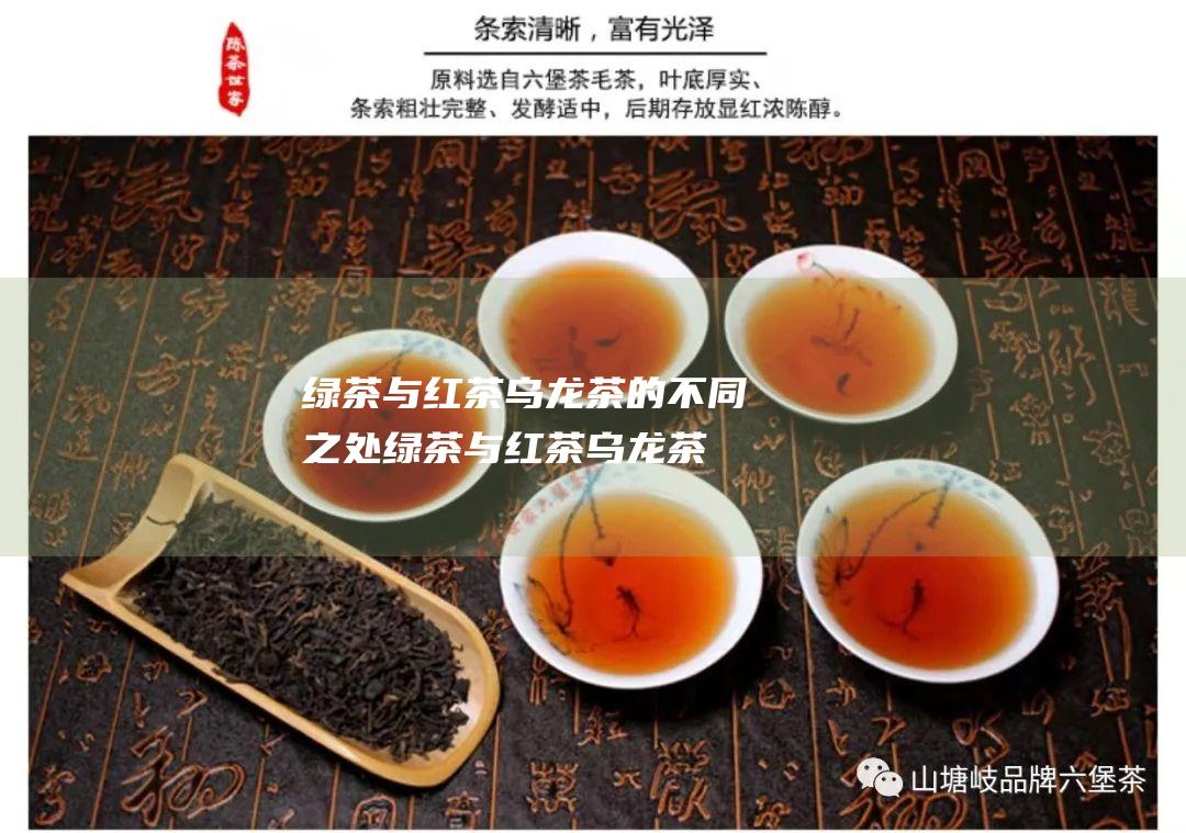 绿茶与红茶 乌龙茶的不同之处 (绿茶与红茶乌龙茶有什么区别)