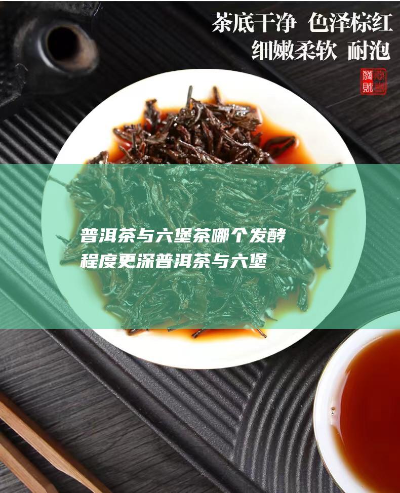 茶与茶哪个发酵程度更深茶与