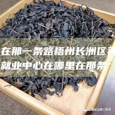 在那一条路梧州长洲区再就业中心在哪里在那条