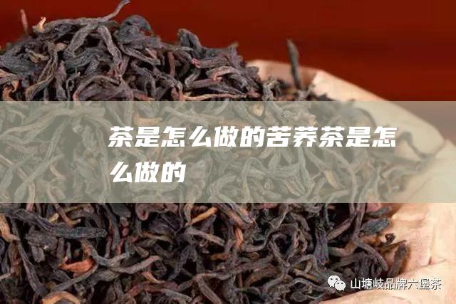 茶是怎么做的 (苦荞茶是怎么做的)