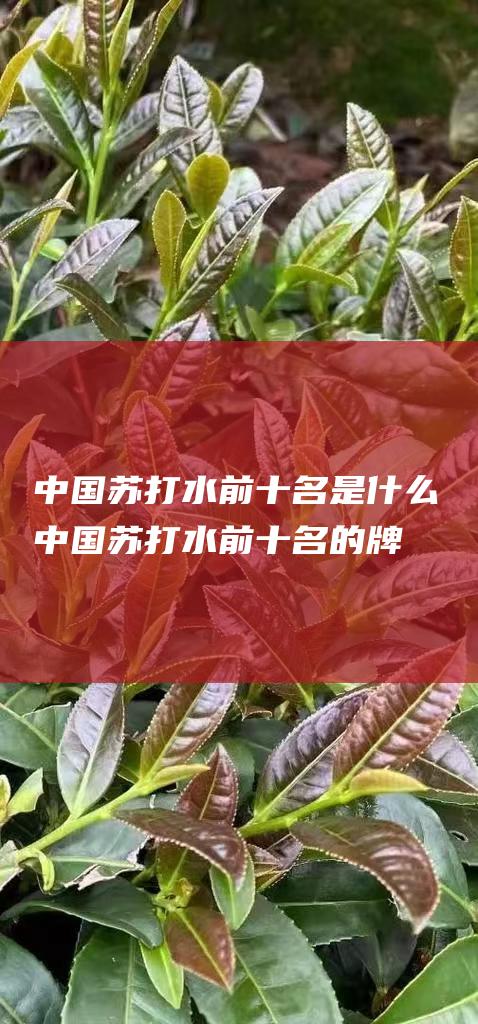 中国苏打水前十名是什么中国苏打水前十名的牌