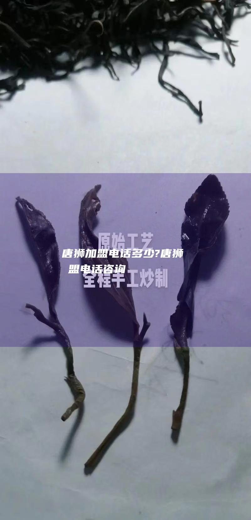 唐狮加盟电话多少? (唐狮加盟电话咨询)