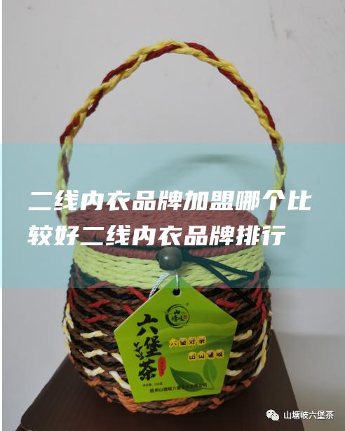 二线内衣品牌加盟哪个比较好 (二线内衣品牌排行榜)