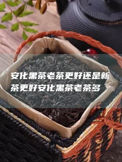 安化黑茶老茶更好还是新茶更好 (安化黑茶老茶多少钱一斤)