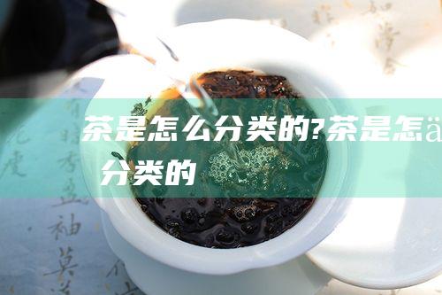 茶是怎么分类的? (茶是怎么分类的)