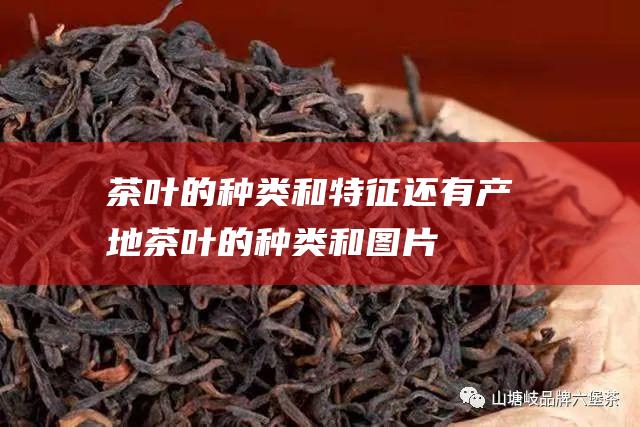 茶叶的种类和特征还有产地 (茶叶的种类和图片)