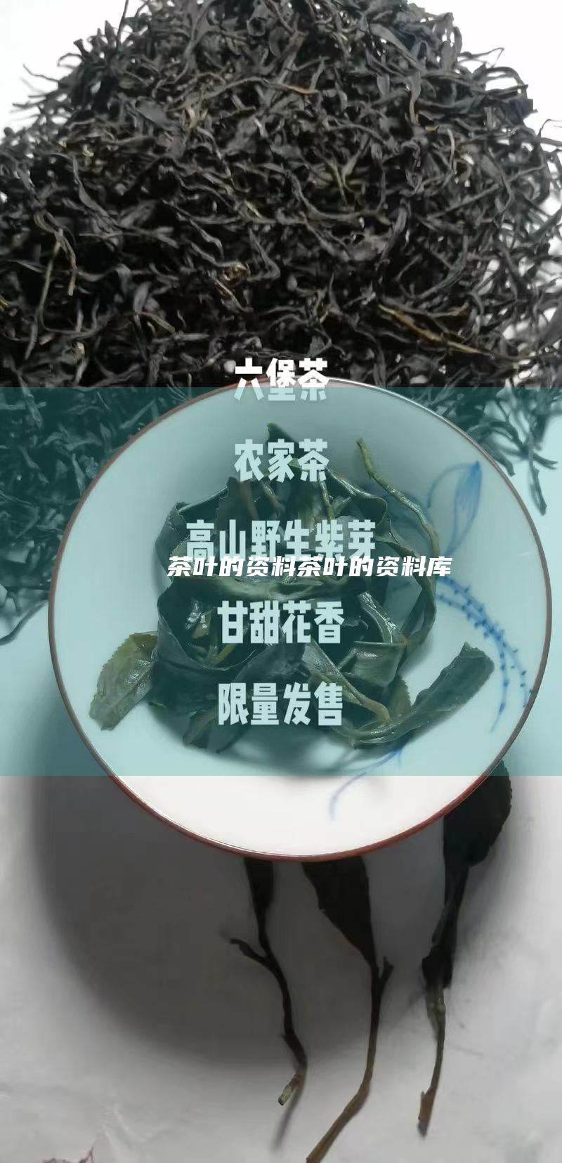 茶叶的资料茶叶的资料库