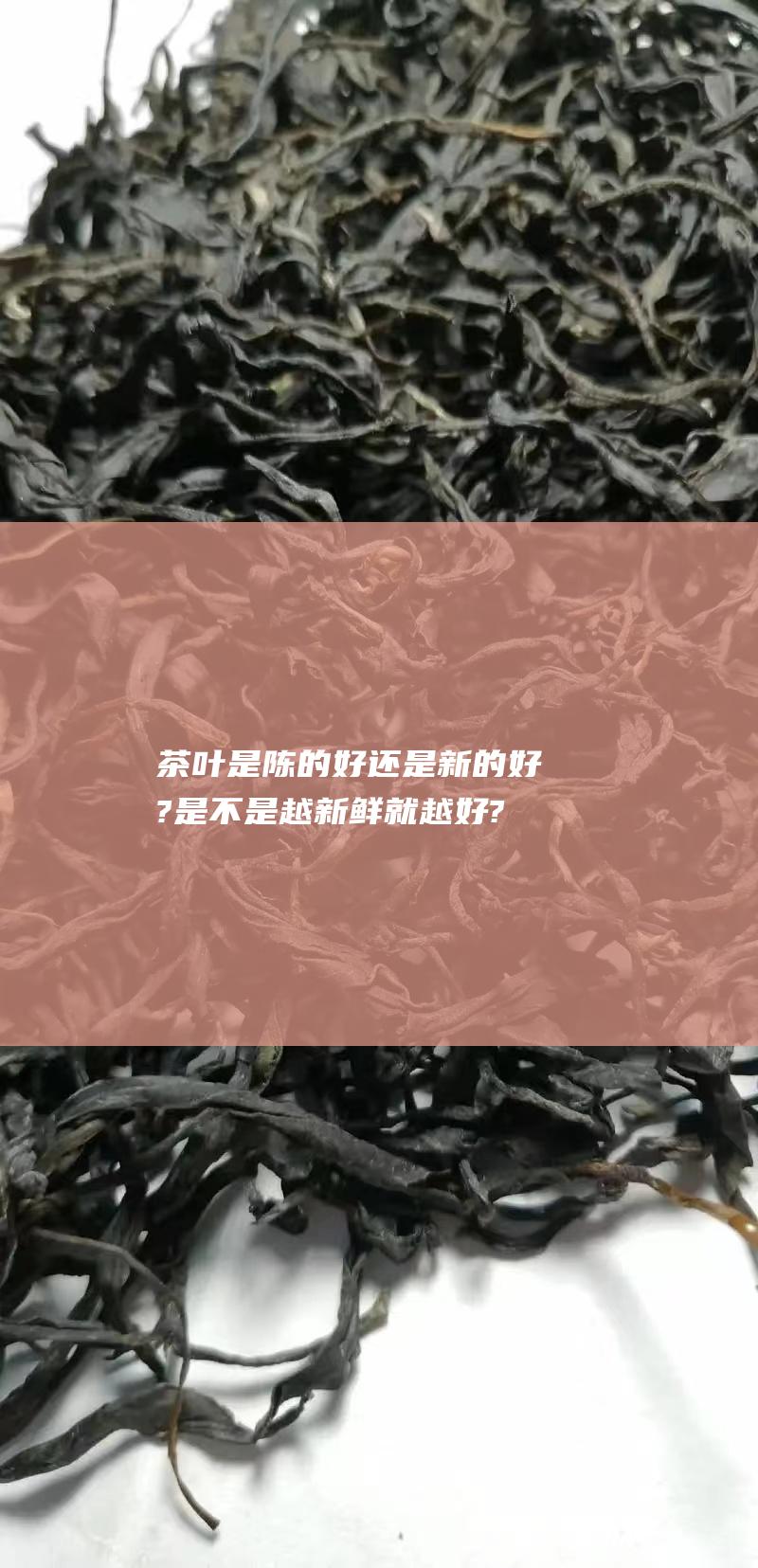 茶叶是陈的好还是新的好?是不是越新鲜就越好? (茶叶是陈的好还是新的好)