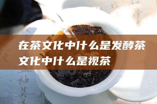 在茶文化中什么是发酵 (茶文化中什么是视茶)