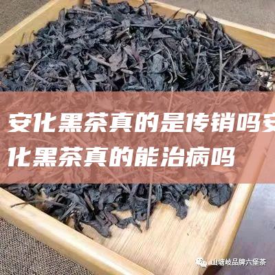 安化黑茶真的是传销吗 (安化黑茶真的能治病吗)