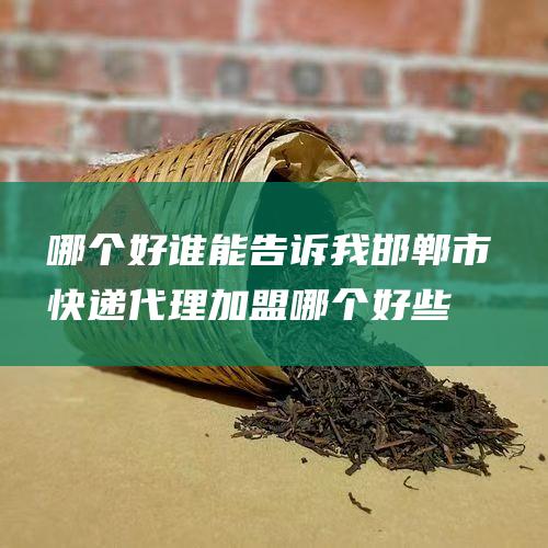 哪个好 谁能告诉我邯郸市快递代理加盟 (哪个好些)