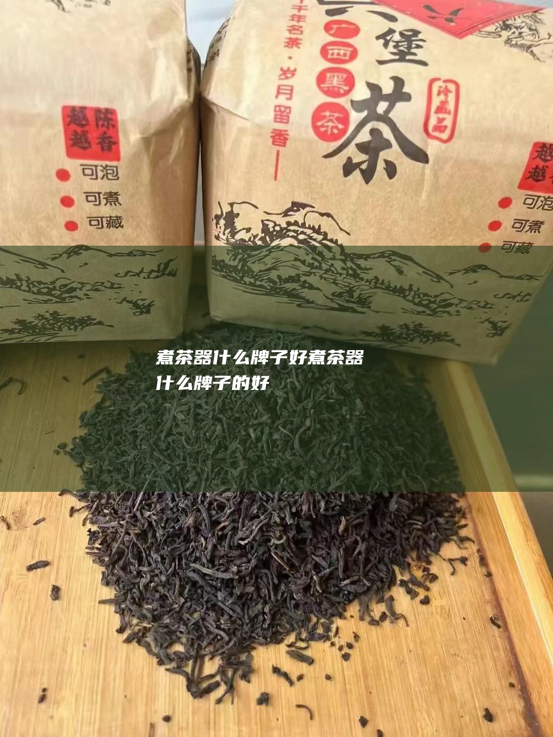 煮茶器什么牌子好 (煮茶器什么牌子的好)