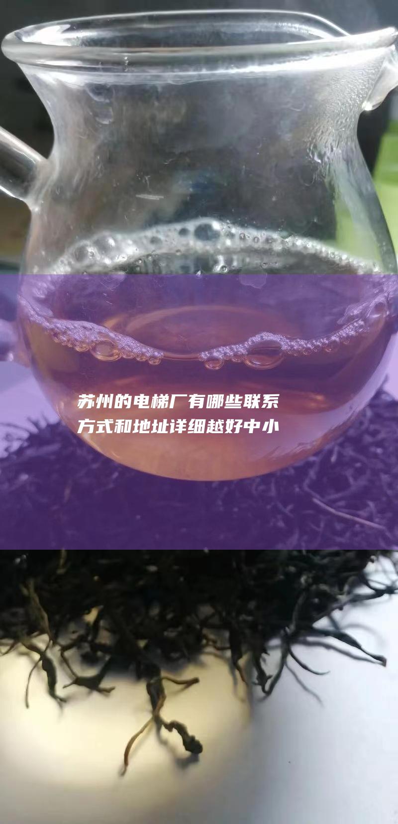 苏州的电梯厂有哪些 联系方式和地址 详细越好 中小企业 (苏州的电梯厂家有哪些品牌)