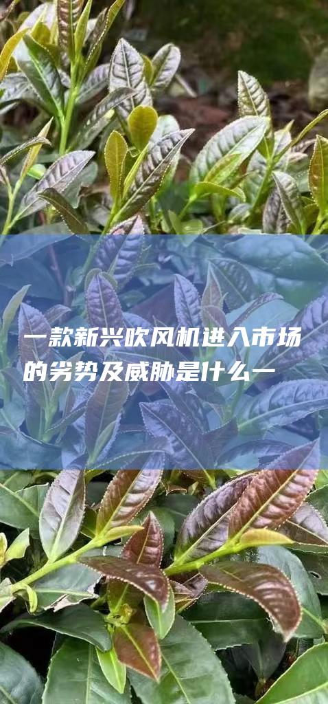 一款新兴吹风机进入市场的劣势及威胁是什么 (一款新兴吹风机推荐)