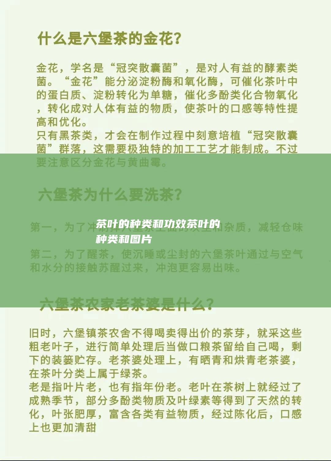 茶叶的种类和功效茶叶的种类和图片