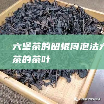 六堡茶的留根闷泡法 (六堡茶的茶叶)