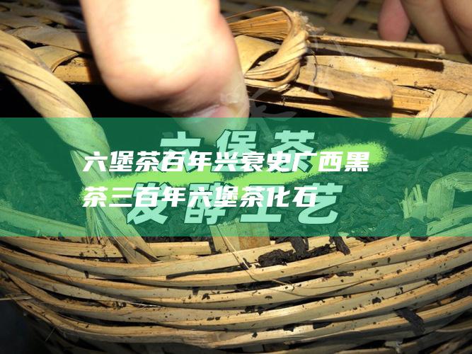 六堡茶百年兴衰史 广西黑茶 三 (百年六堡茶化石)