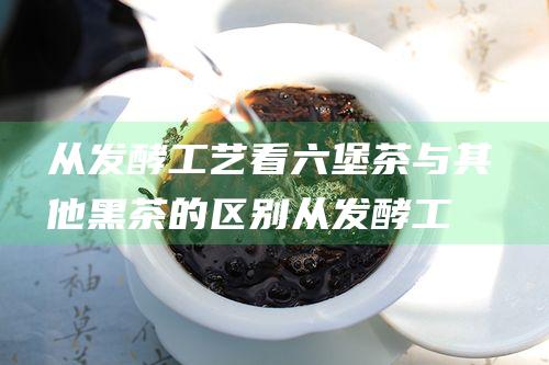 从发酵工艺 看六堡茶与其他黑茶的区别 (从发酵工艺看发酵过程)