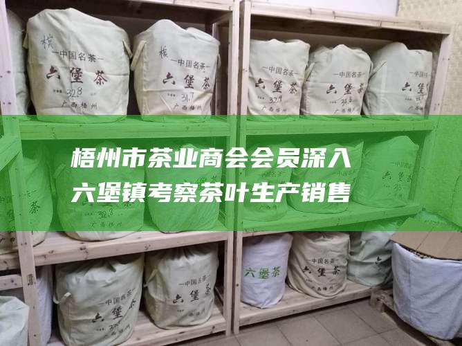 梧州市茶业商会会员深入六堡镇考察茶叶生产销售 (梧州市茶业商会吴燕)