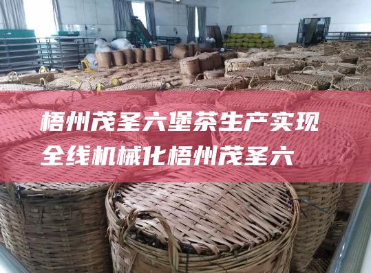 梧州茂圣六堡茶生产实现全线机械化 (梧州茂圣六堡茶公司简介)