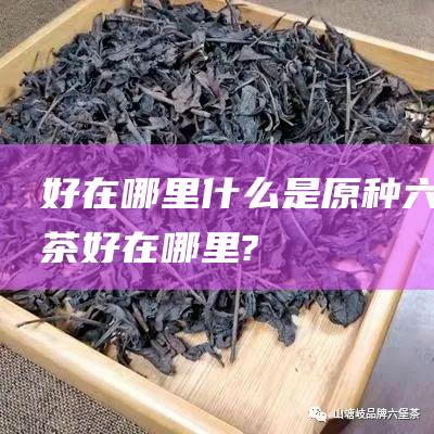 好在哪里 什么是原种六堡茶 (好在哪里?)