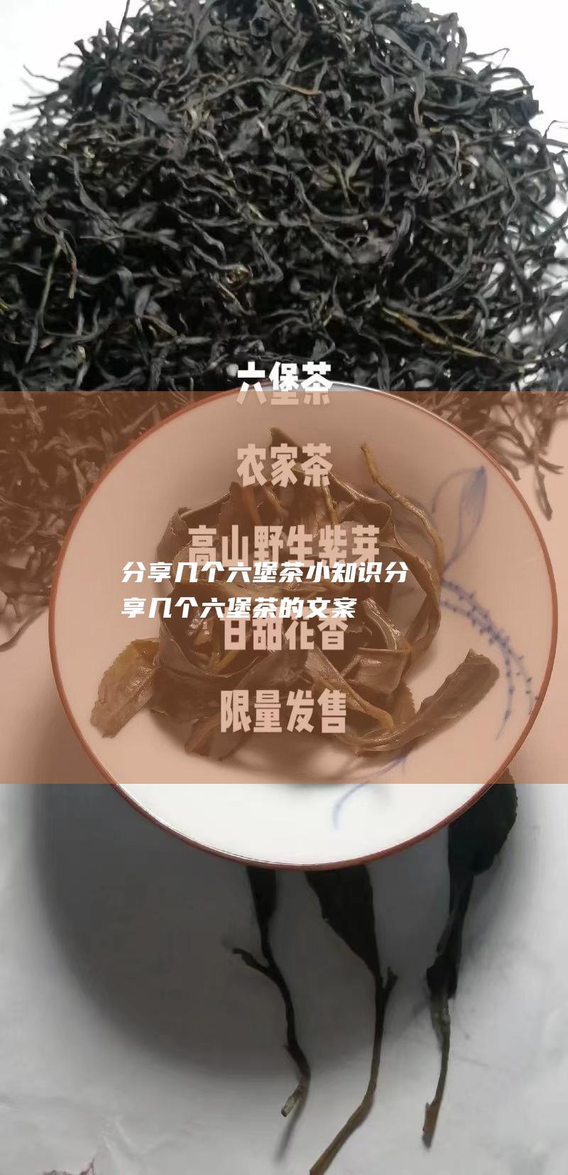 分享几个六堡茶小知识 (分享几个六堡茶的文案)