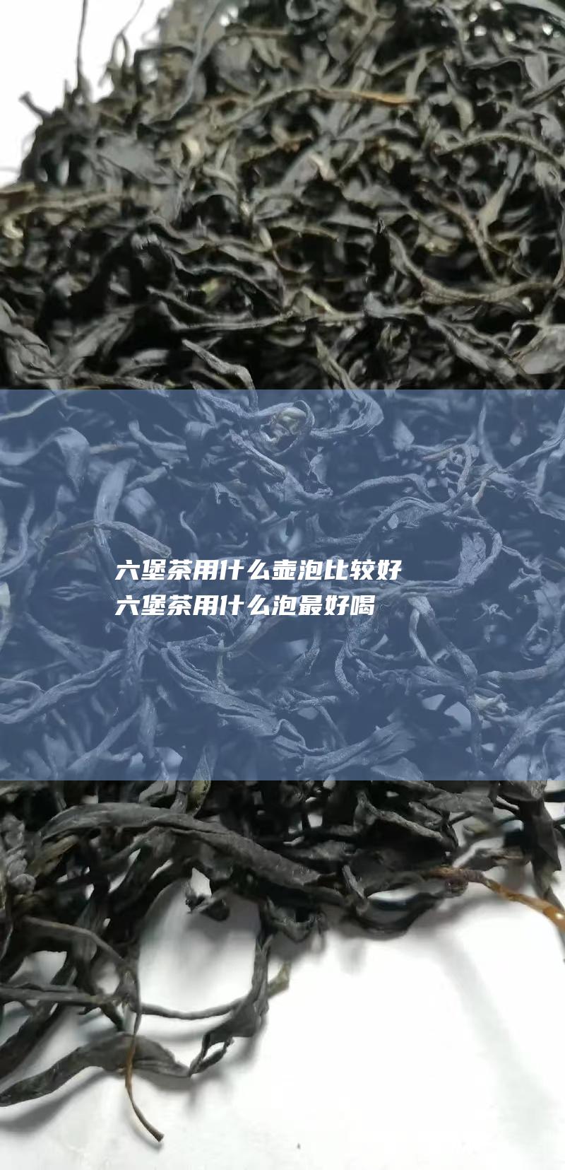 六堡茶用什么壶泡比较好 (六堡茶用什么泡最好喝)