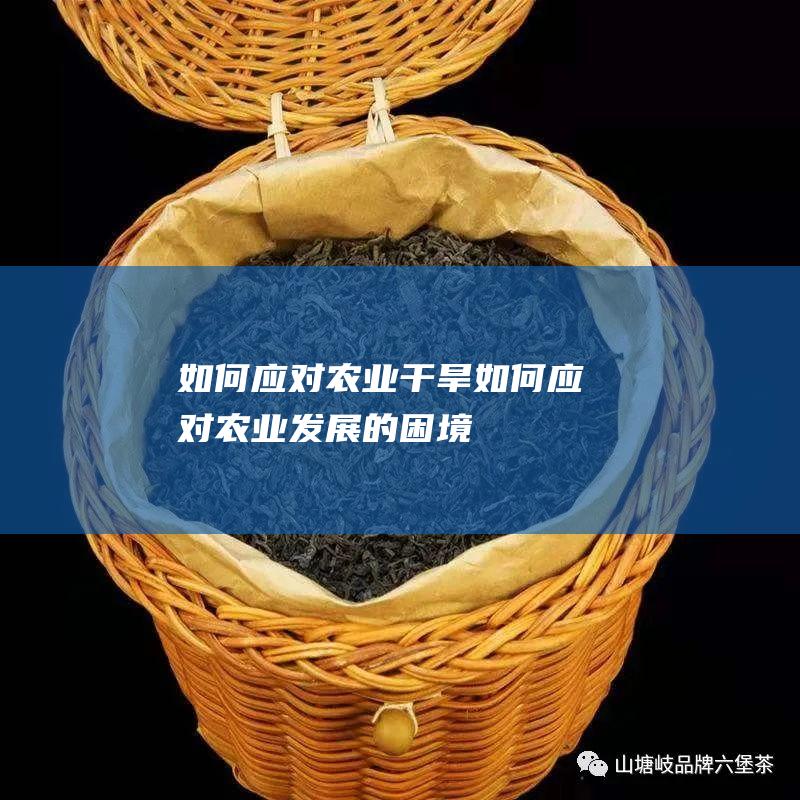 如何应对农业干旱 (如何应对农业发展的困境)