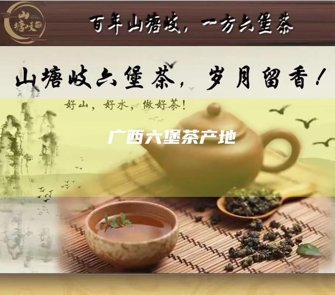 广西六堡茶产地