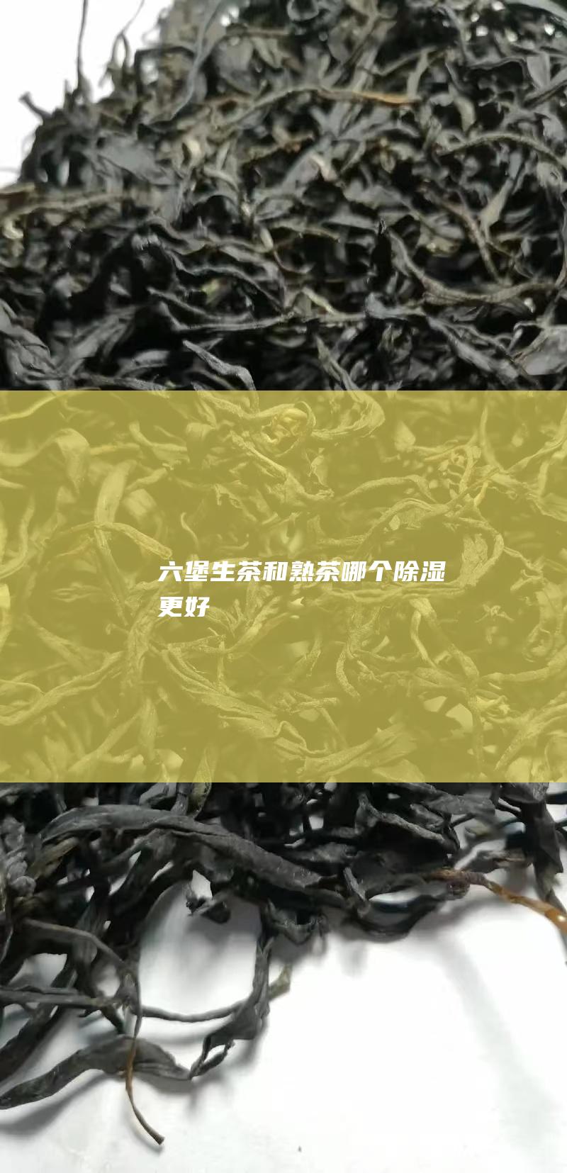 六堡生茶和熟茶哪个除湿更好