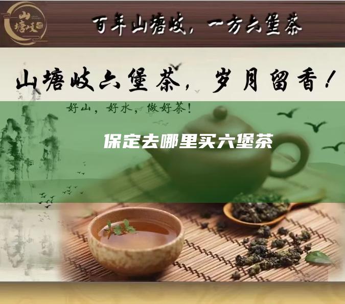 保定去哪里买六堡茶