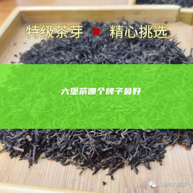 六堡茶哪个牌子最好