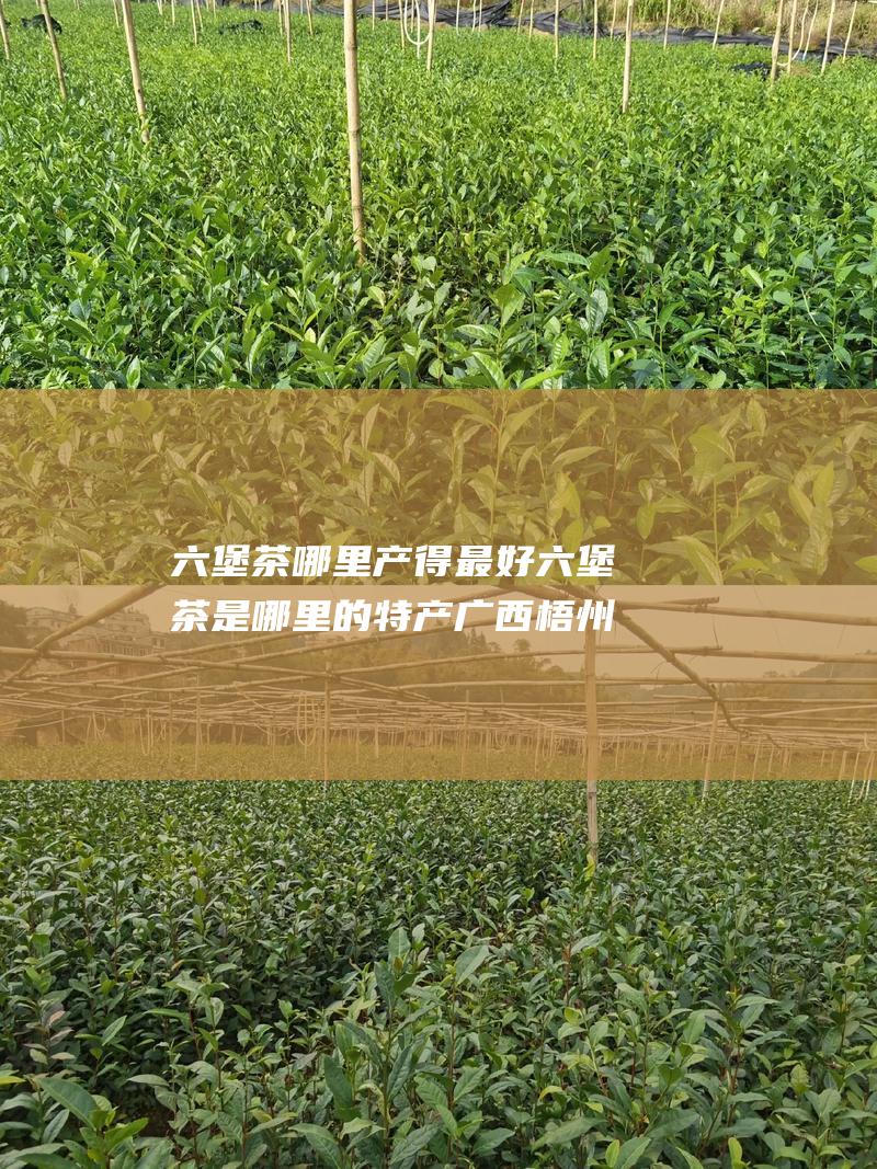 六堡茶哪里产得最好 六堡茶是哪里的特产 广西梧州