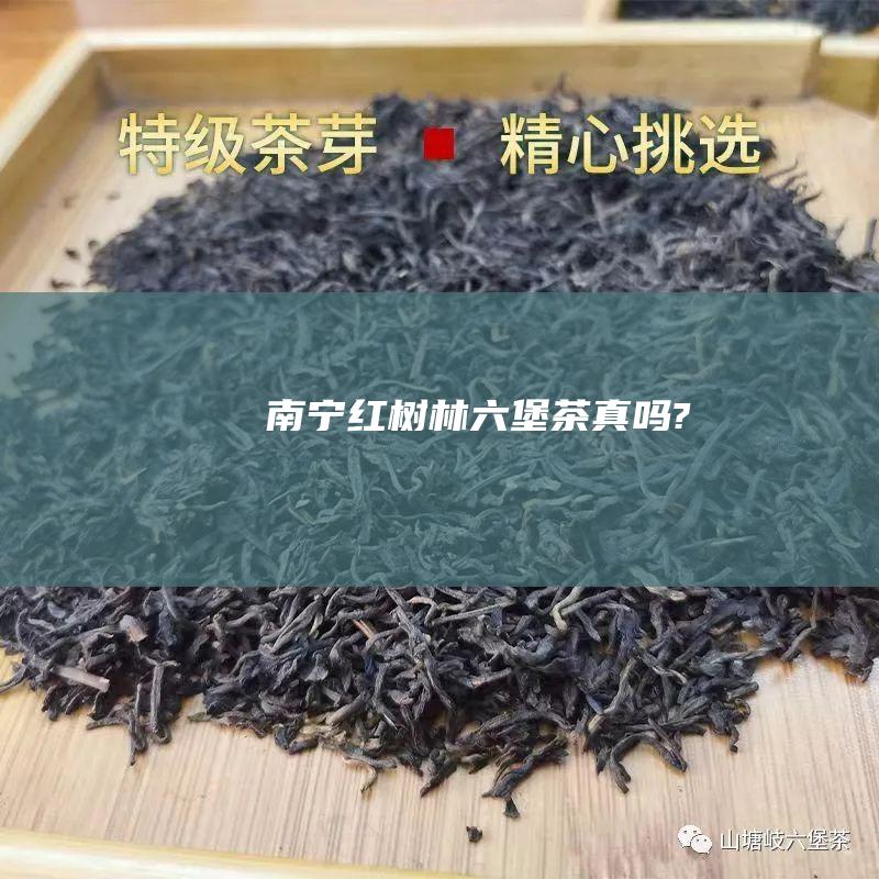 南宁红树林六堡茶真吗?