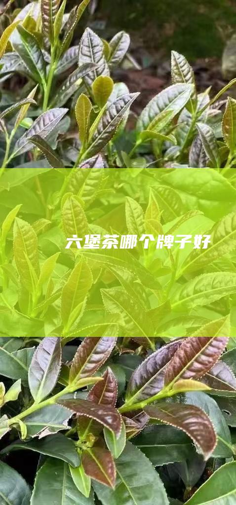 六堡茶哪个牌子好