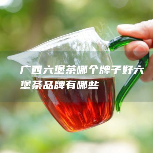 广西六堡茶哪个牌子好 六堡茶品牌有哪些