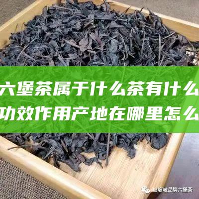 六堡茶属于什么茶 有什么功效作用 产地在哪里 怎么冲泡品鉴