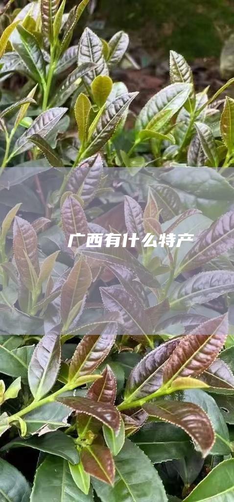 广西有什么特产