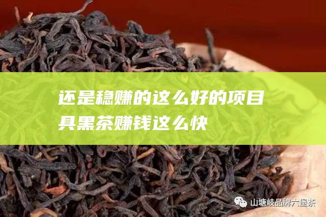 还是稳赚的 这么好的项目具 黑茶赚钱这么快