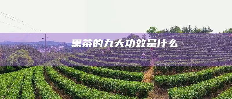 黑茶的九大功效是什么