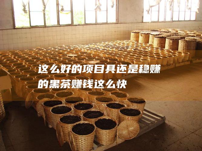 这么好的项目具 还是稳赚的 黑茶赚钱这么快