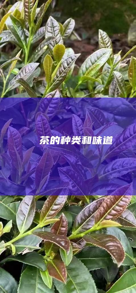 茶的种类和味道