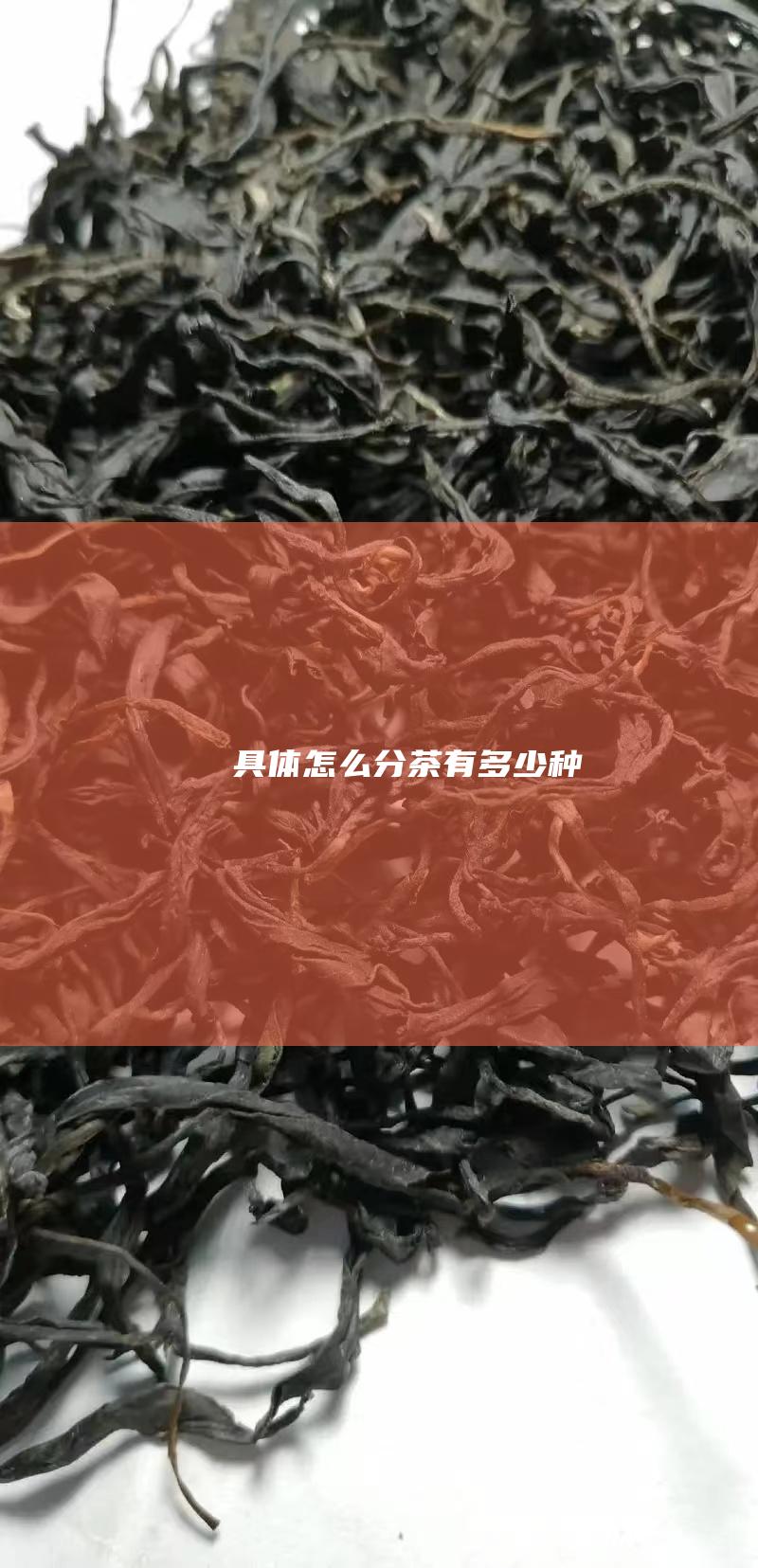 具体怎么分 茶有多少种